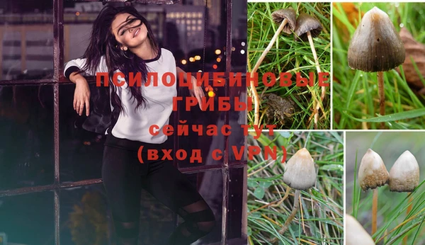 а пвп мука Кукмор