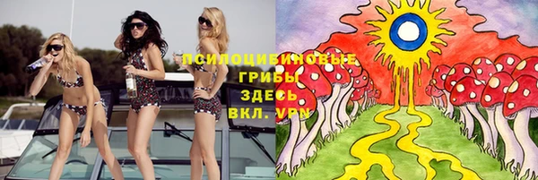 МДМА Лагань