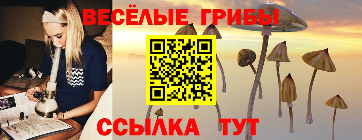 Галлюциногенные грибы Psilocybe Луховицы