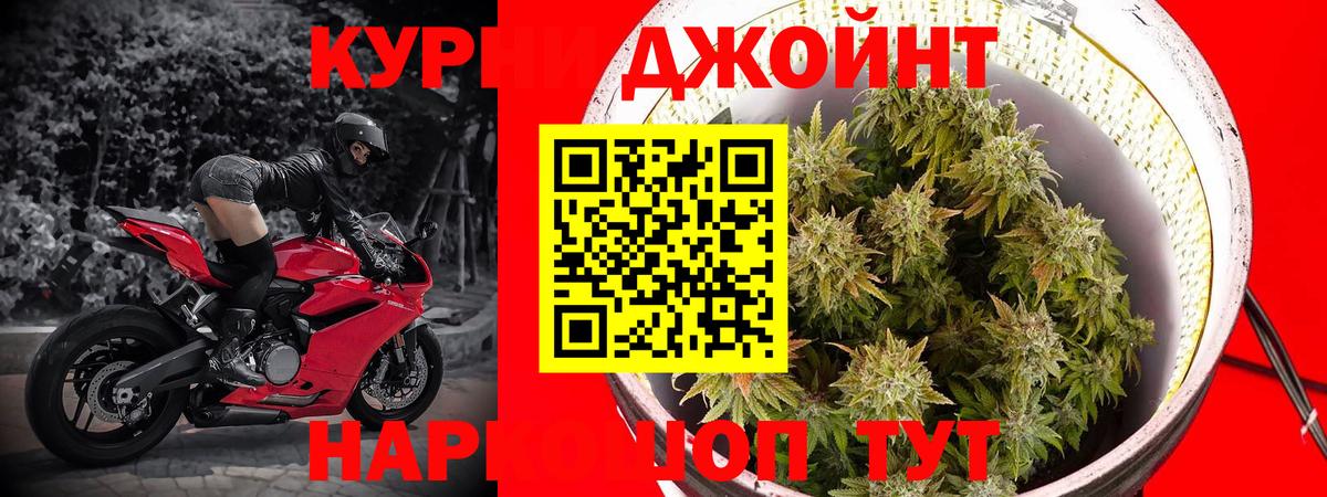 Каннабис OG Kush  Луховицы  Шишки марихуана марихуана  Канабис планчик 